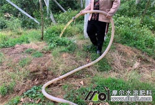 沖施肥使用 沖施肥使用