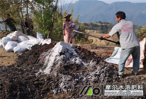 韭菜所施底肥 韭菜所施底肥