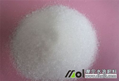 韭菜沖施肥選擇 韭菜沖施肥選擇