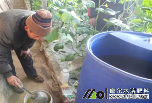 沖施肥使用注意 沖施肥使用注意