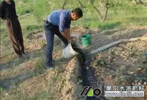 沖施肥選擇 沖施肥選擇