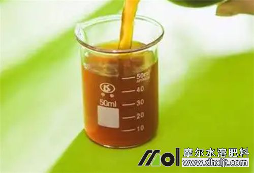 萵苣種植用中微量元素肥 萵苣種植用中微量元素肥