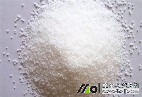 高氮水沖肥顆粒 高氮水沖肥顆粒