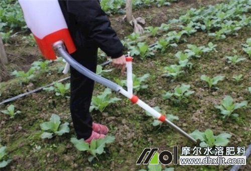 沖施肥可以自制 沖施肥可以自制