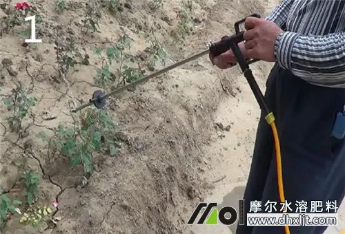 沖施肥作用 沖施肥作用