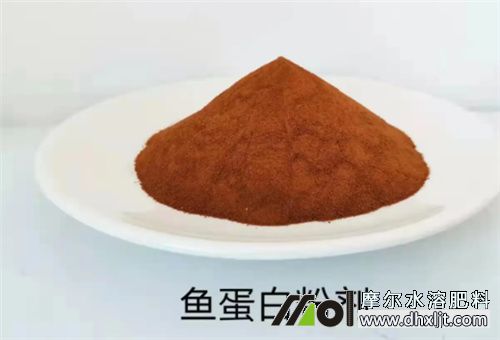 沖施肥活性成分 沖施肥活性成分