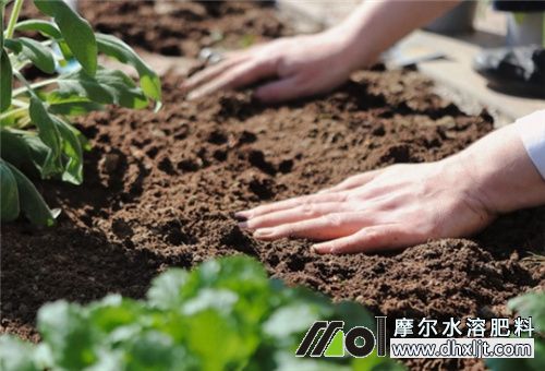 沖施肥用法 沖施肥用法