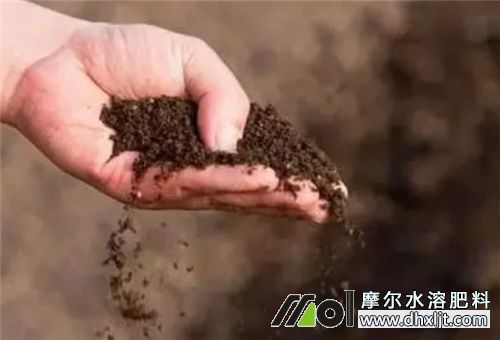 生物沖施肥 生物沖施肥