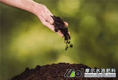 生物沖施肥 生物沖施肥