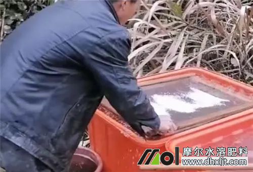 沖施肥使用時間 沖施肥使用時間