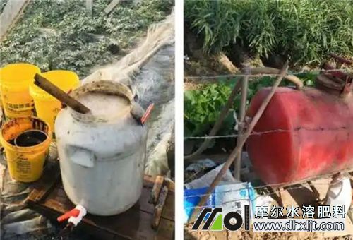 沖施肥使用時間 沖施肥使用時間