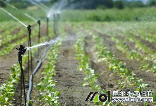 肥料沖施注意 肥料沖施注意