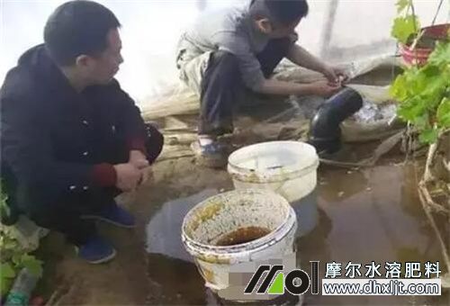 沖施肥使用禁忌 沖施肥使用禁忌