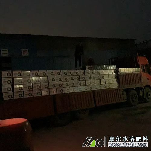 為新疆客戶裝車發(fā)貨3 為新疆客戶裝車發(fā)貨3